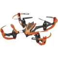 ACME Zoopa Q155 Roonin-814